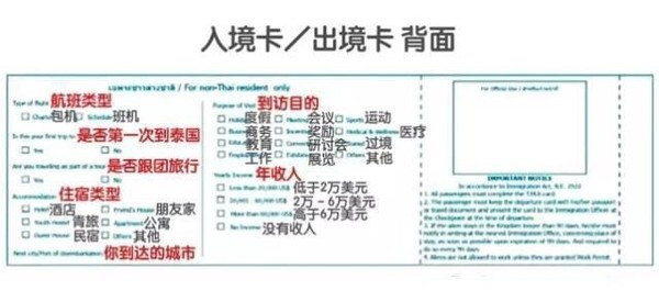 杜布旅游攻略，一个程序员用Go语言思维拆解的实用旅行指南